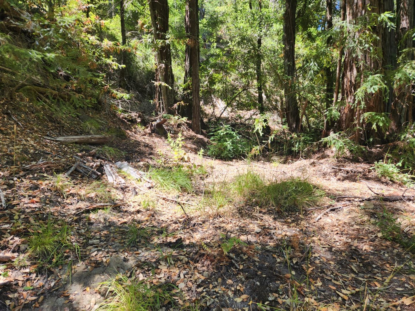 Detail Gallery Image 6 of 6 For 510 East Rd, Boulder Creek,  CA 95006 - – Beds | – Baths