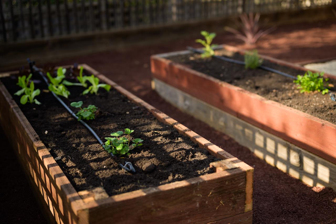 Detail Gallery Image 103 of 110 For 602 Navarra Dr, Scotts Valley,  CA 95066 - 3 Beds | 2 Baths