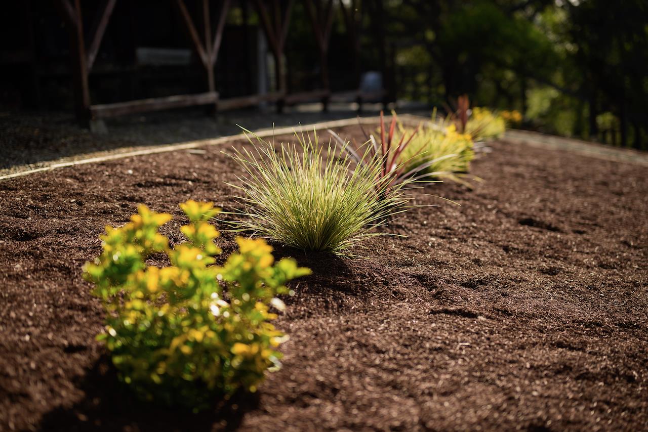 Detail Gallery Image 99 of 110 For 602 Navarra Dr, Scotts Valley,  CA 95066 - 3 Beds | 2 Baths