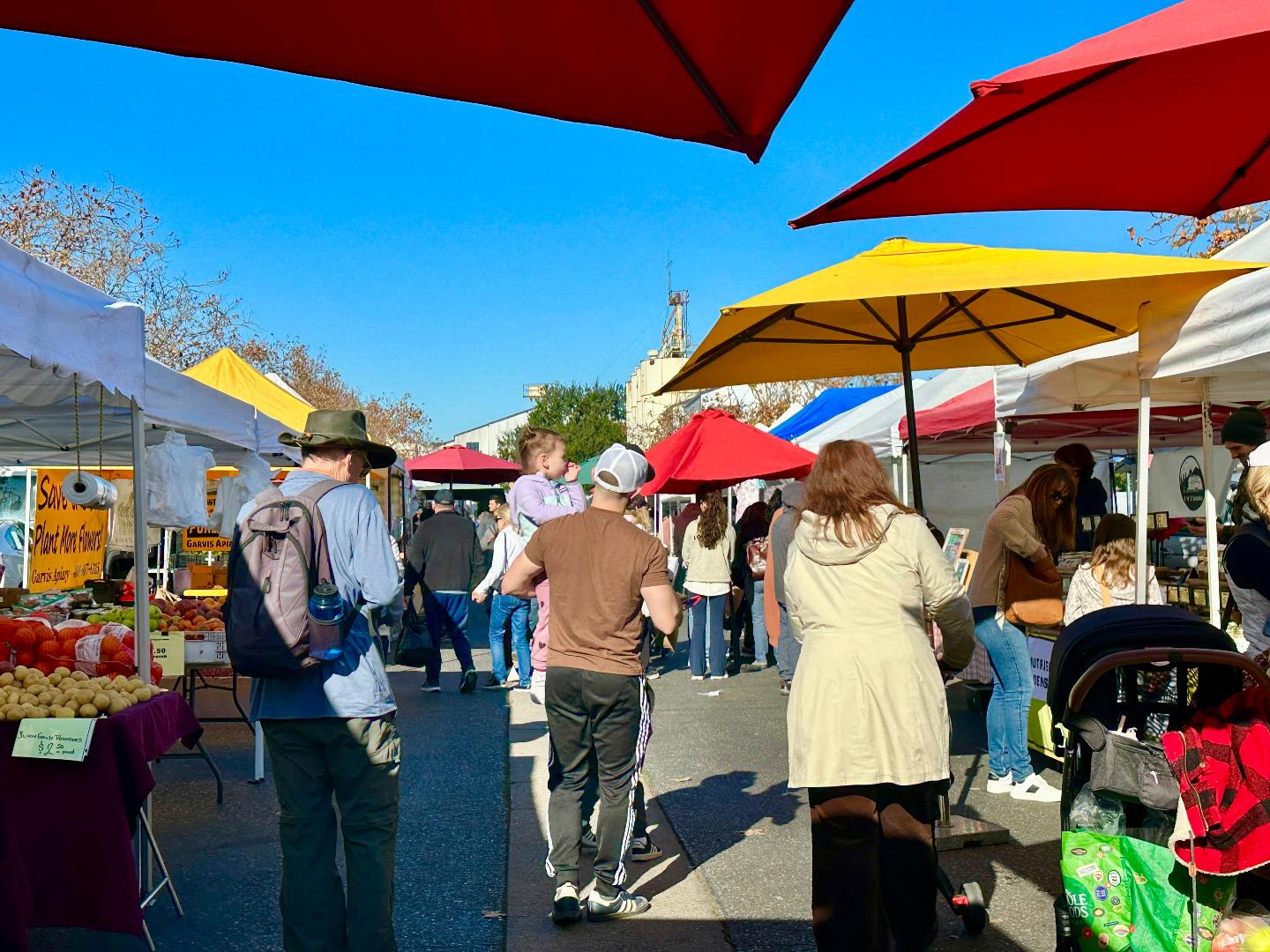 Detail Gallery Image 25 of 36 For 80 Wright Ave, Morgan Hill,  CA 95037 - 3 Beds | 1 Baths
