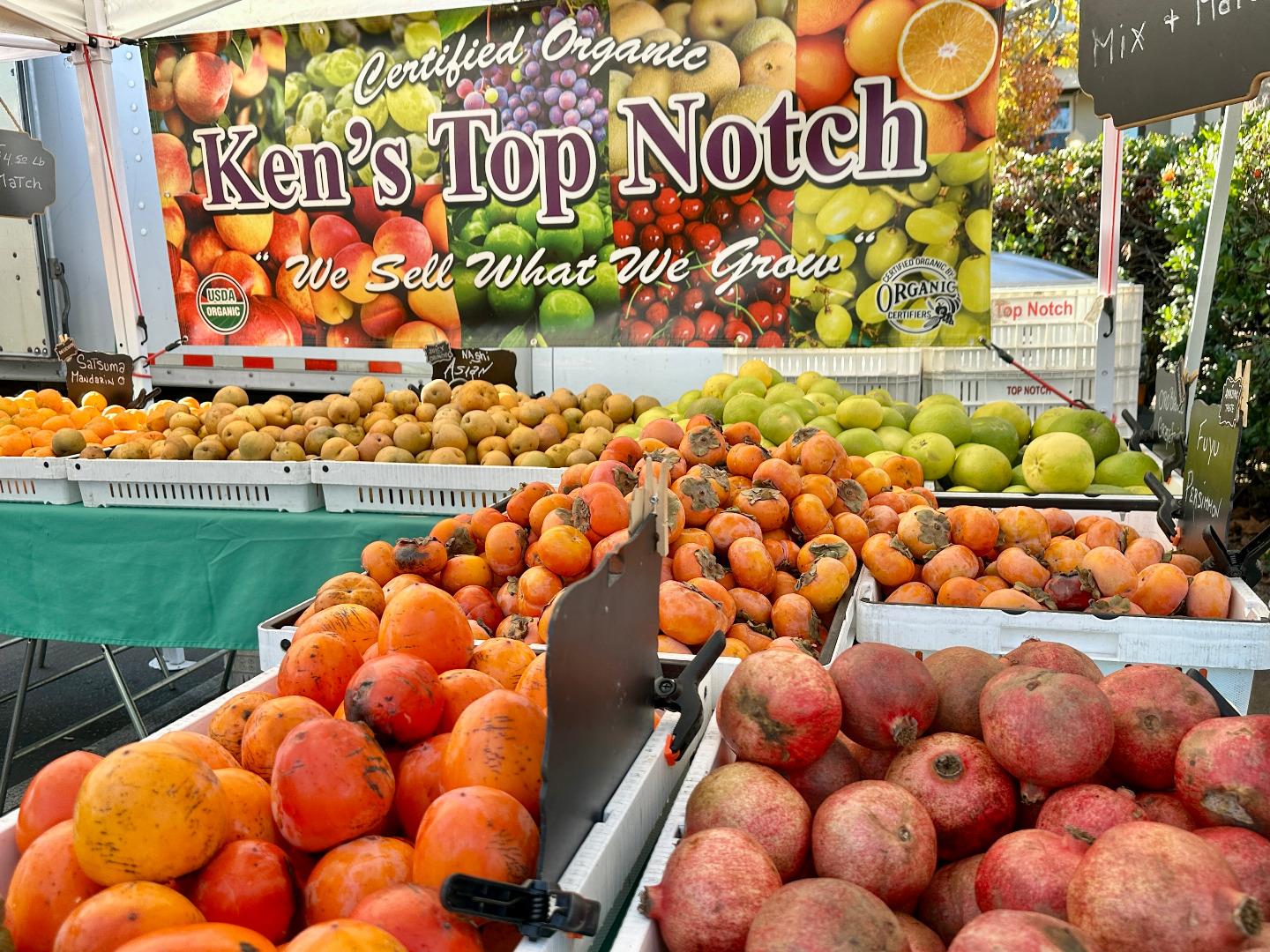 Detail Gallery Image 26 of 36 For 80 Wright Ave, Morgan Hill,  CA 95037 - 3 Beds | 1 Baths