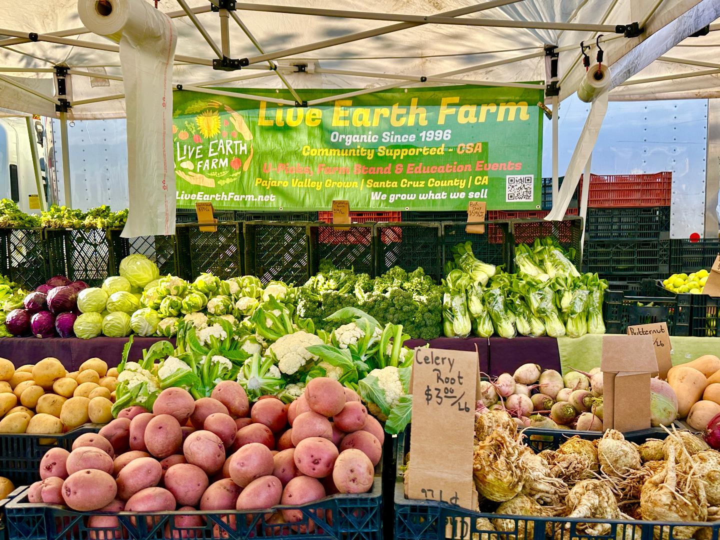 Detail Gallery Image 28 of 36 For 80 Wright Ave, Morgan Hill,  CA 95037 - 3 Beds | 1 Baths