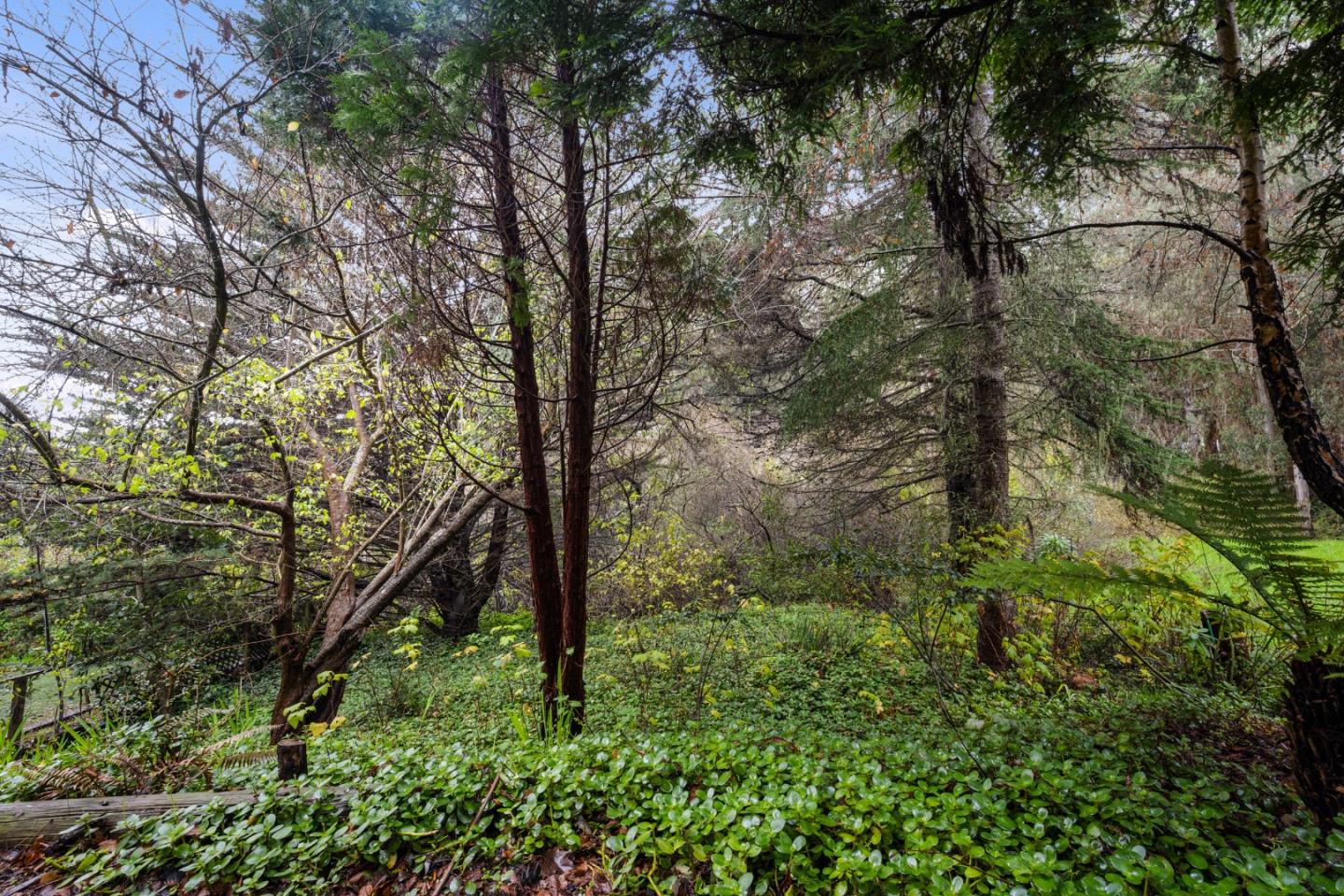 Detail Gallery Image 28 of 34 For 239 San Juan Ave, El Granada,  CA 94018 - 2 Beds | 1/1 Baths