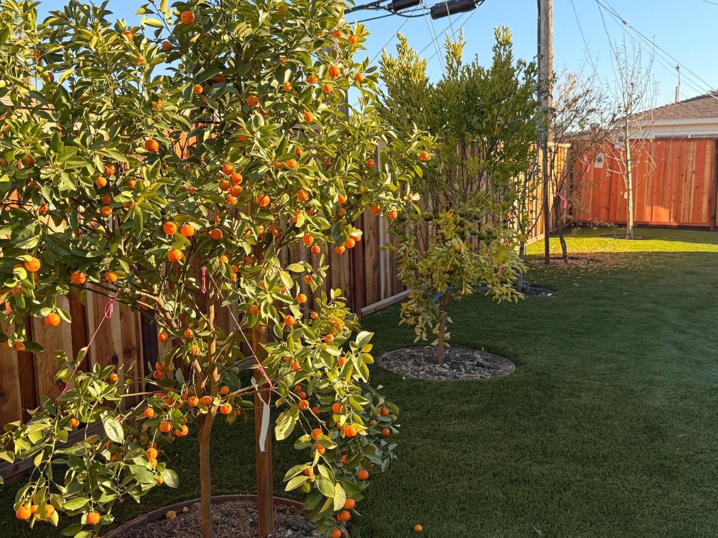 Detail Gallery Image 38 of 45 For 2121 Francis Ave, Santa Clara,  CA 95051 - 4 Beds | 3 Baths