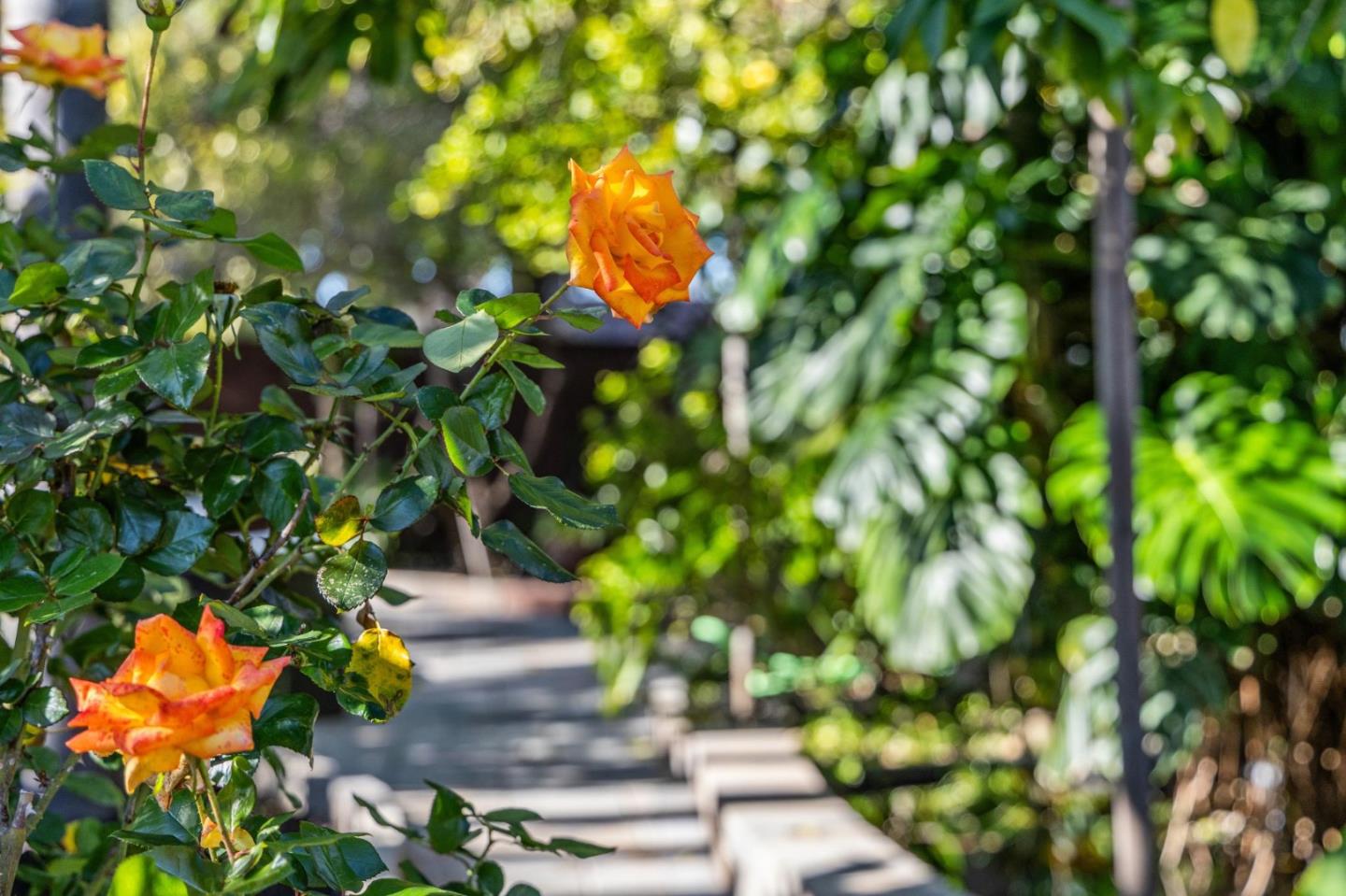 Detail Gallery Image 47 of 79 For 4080 Leigh Ave, San Jose,  CA 95124 - 4 Beds | 2 Baths