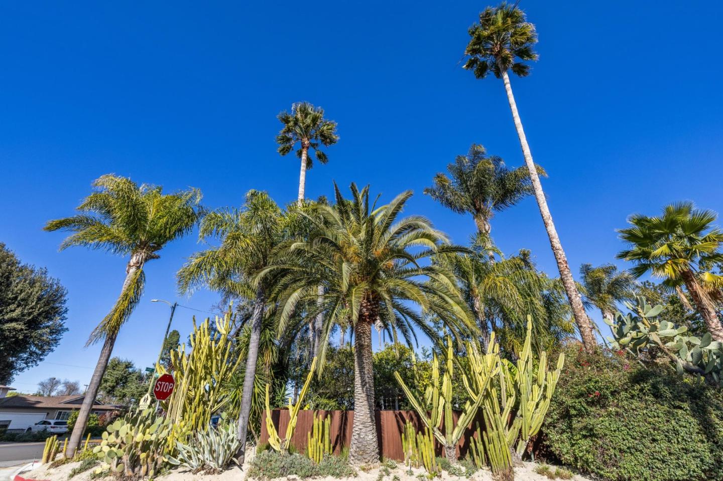 Detail Gallery Image 65 of 79 For 4080 Leigh Ave, San Jose,  CA 95124 - 4 Beds | 2 Baths