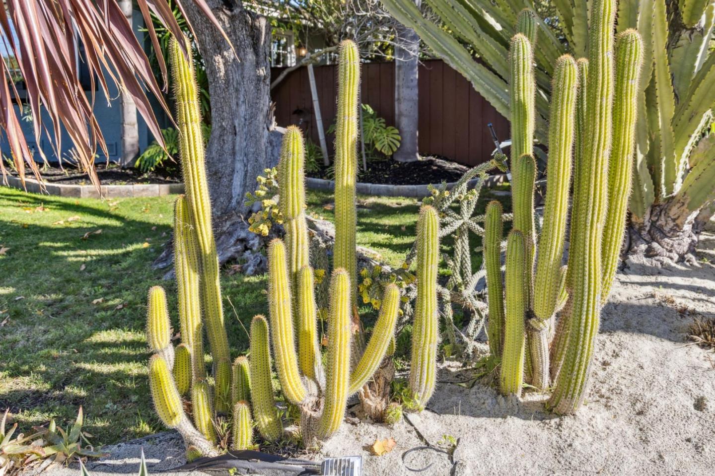 Detail Gallery Image 66 of 79 For 4080 Leigh Ave, San Jose,  CA 95124 - 4 Beds | 2 Baths