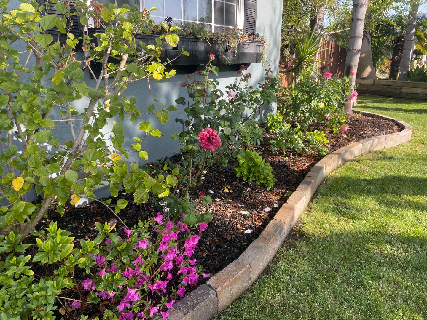 Detail Gallery Image 73 of 79 For 4080 Leigh Ave, San Jose,  CA 95124 - 4 Beds | 2 Baths