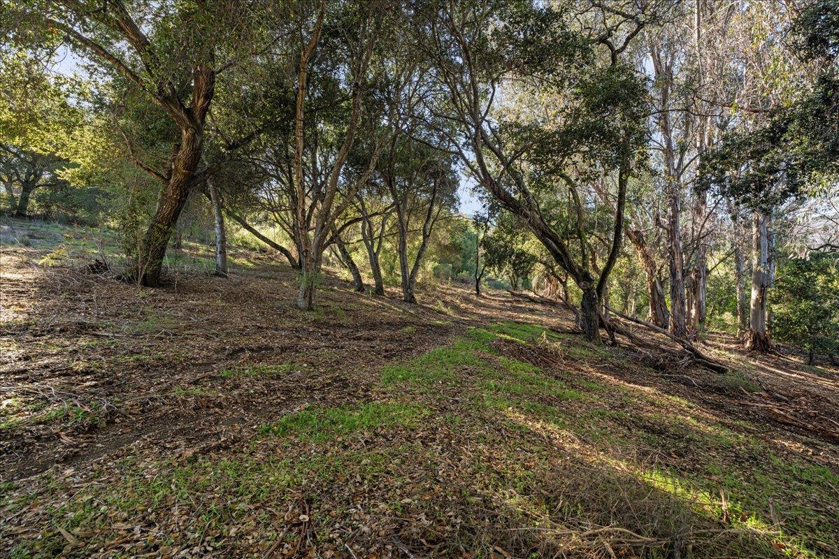 Detail Gallery Image 11 of 28 For 00 Old Santa Cruz Highway, Los Gatos,  CA 95033 - – Beds | – Baths