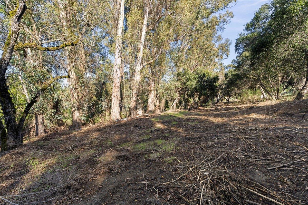 Detail Gallery Image 6 of 28 For 00 Old Santa Cruz Highway, Los Gatos,  CA 95033 - – Beds | – Baths