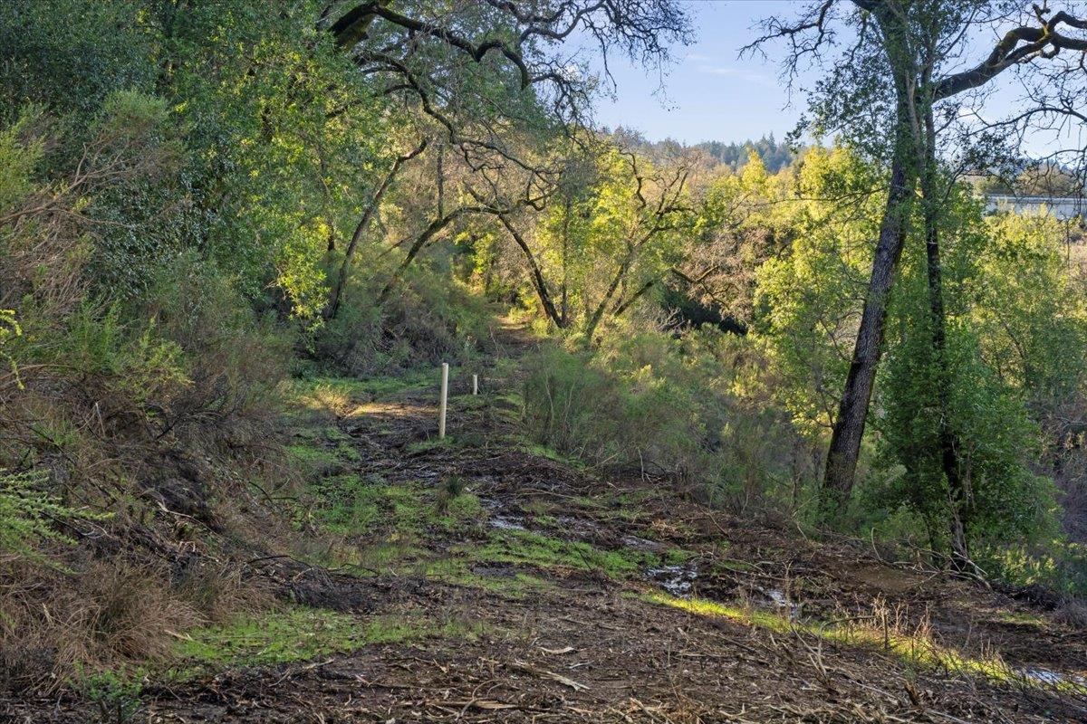 Detail Gallery Image 7 of 28 For 00 Old Santa Cruz Highway, Los Gatos,  CA 95033 - – Beds | – Baths