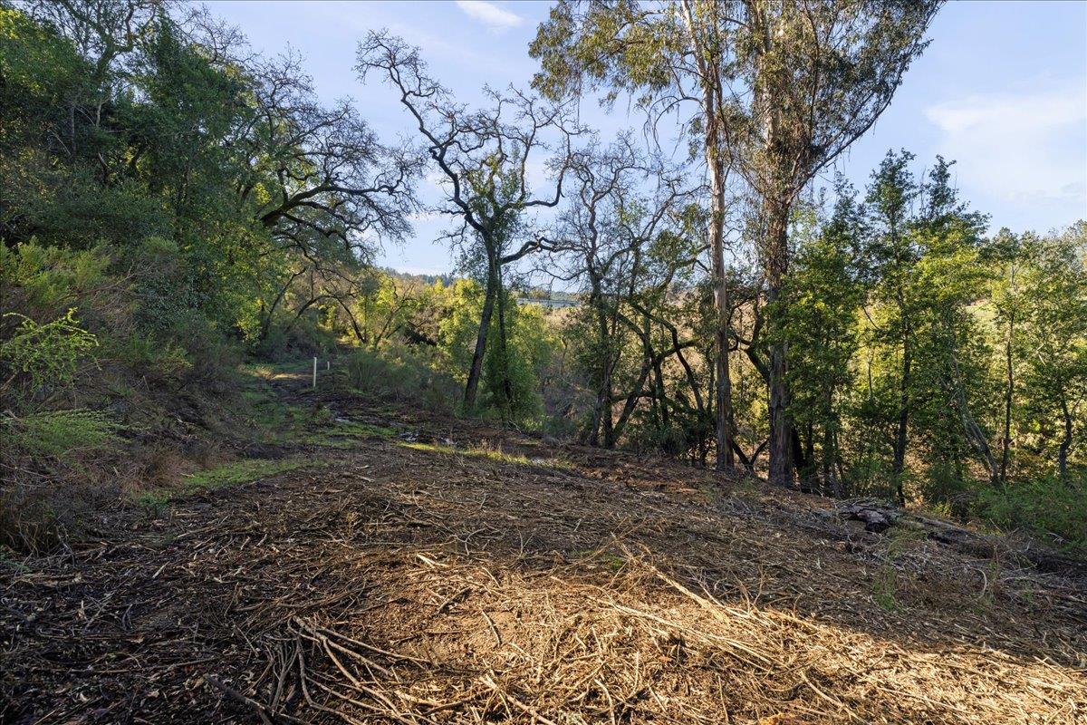 Detail Gallery Image 8 of 28 For 00 Old Santa Cruz Highway, Los Gatos,  CA 95033 - – Beds | – Baths