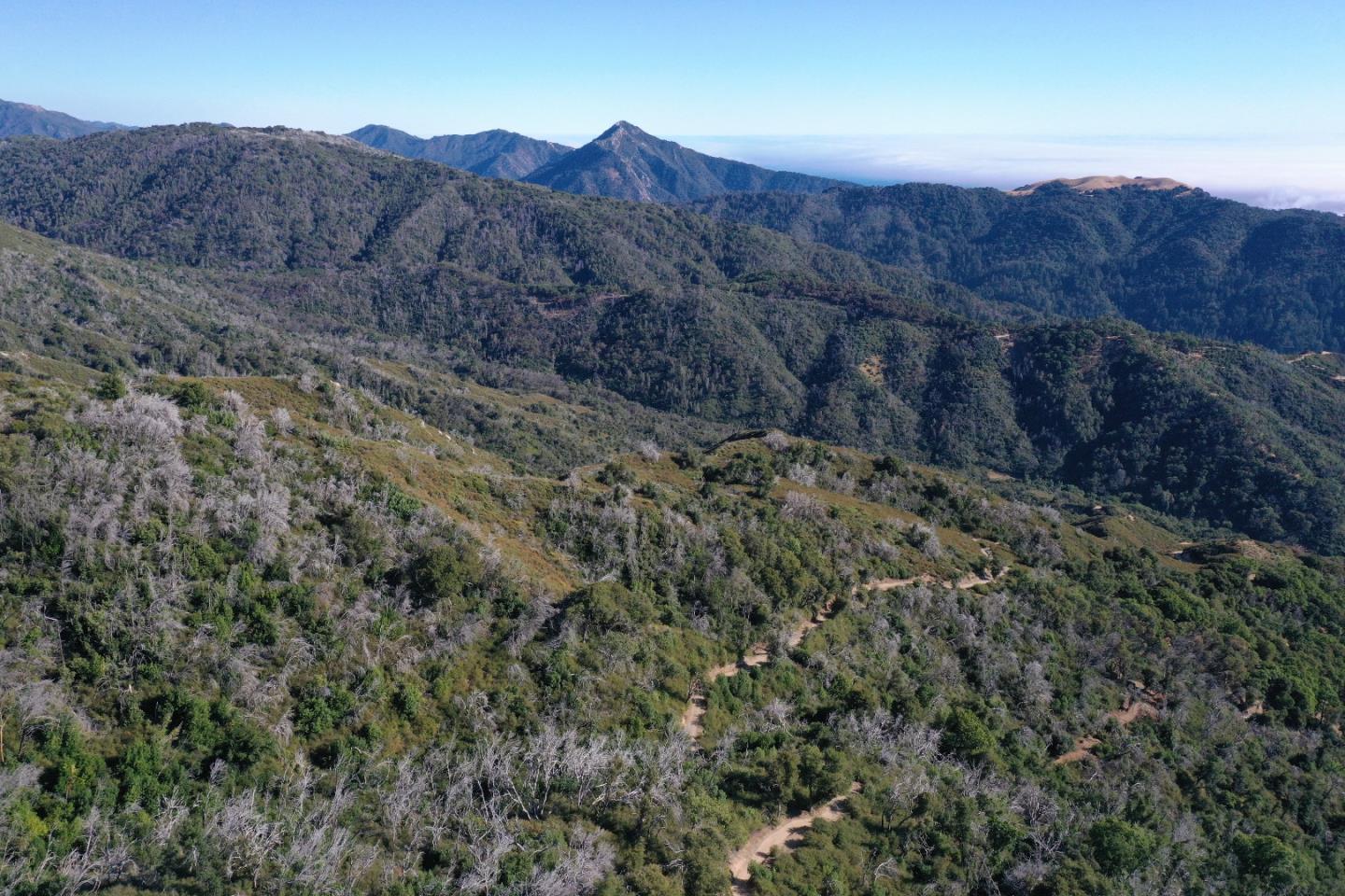 1 Twin Peaks Crest, Carmel, CA, 93923