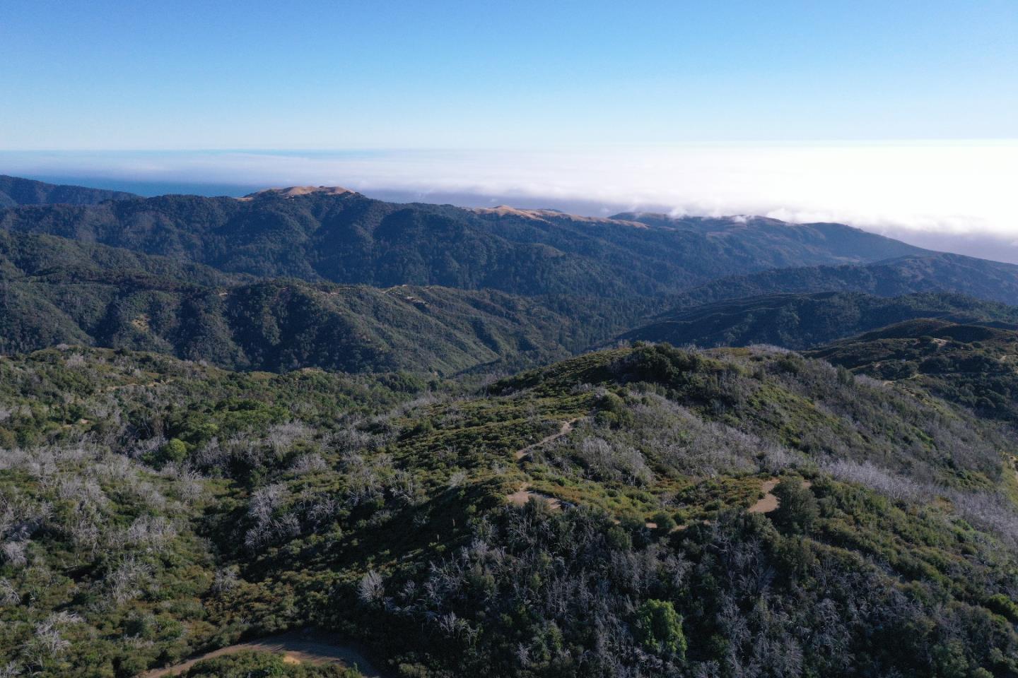 1 Twin Peaks Crest, Carmel, CA, 93923