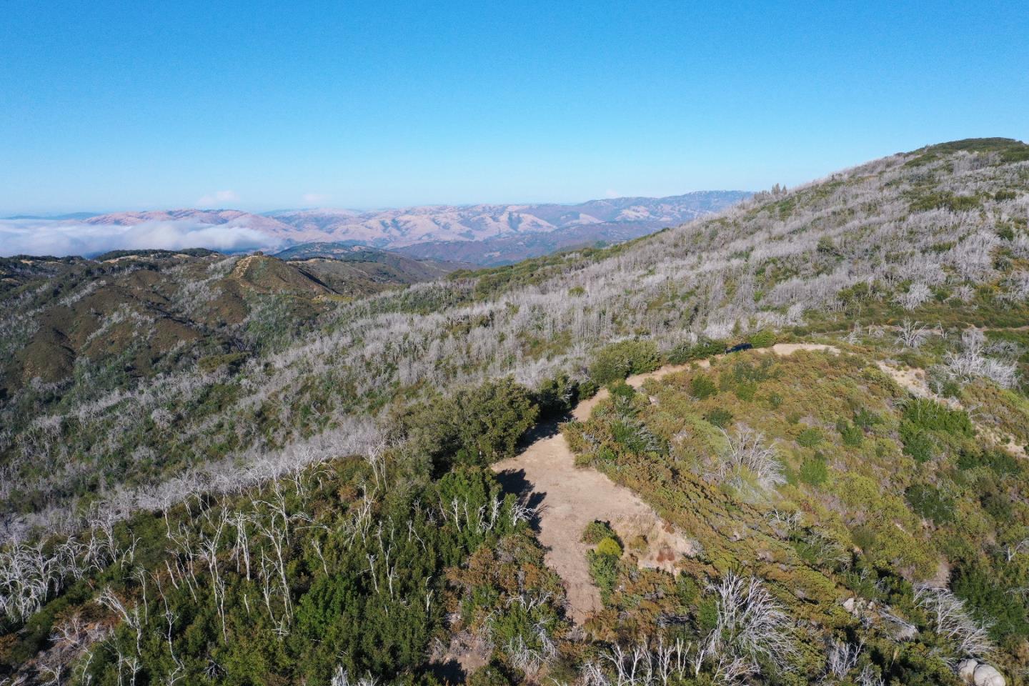 1 Twin Peaks Crest, Carmel, CA, 93923