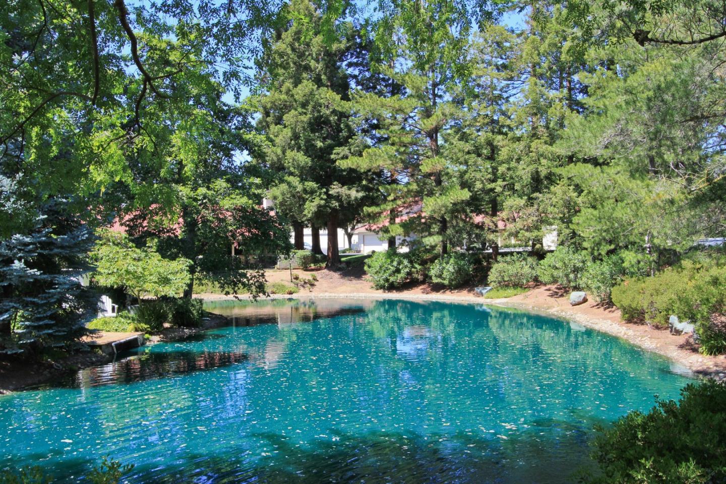 Photo #19: ML82030035 Listing: Photo #19