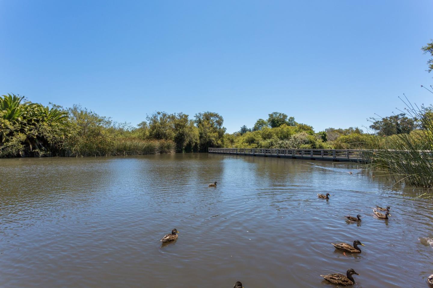 Detail Gallery Image 46 of 51 For 102 Tree Frog Ln, Santa Cruz,  CA 95060 - 2 Beds | 2 Baths