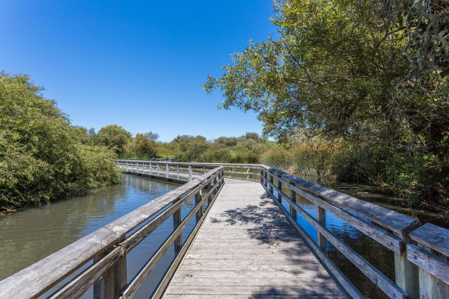 Detail Gallery Image 49 of 51 For 102 Tree Frog Ln, Santa Cruz,  CA 95060 - 2 Beds | 2 Baths