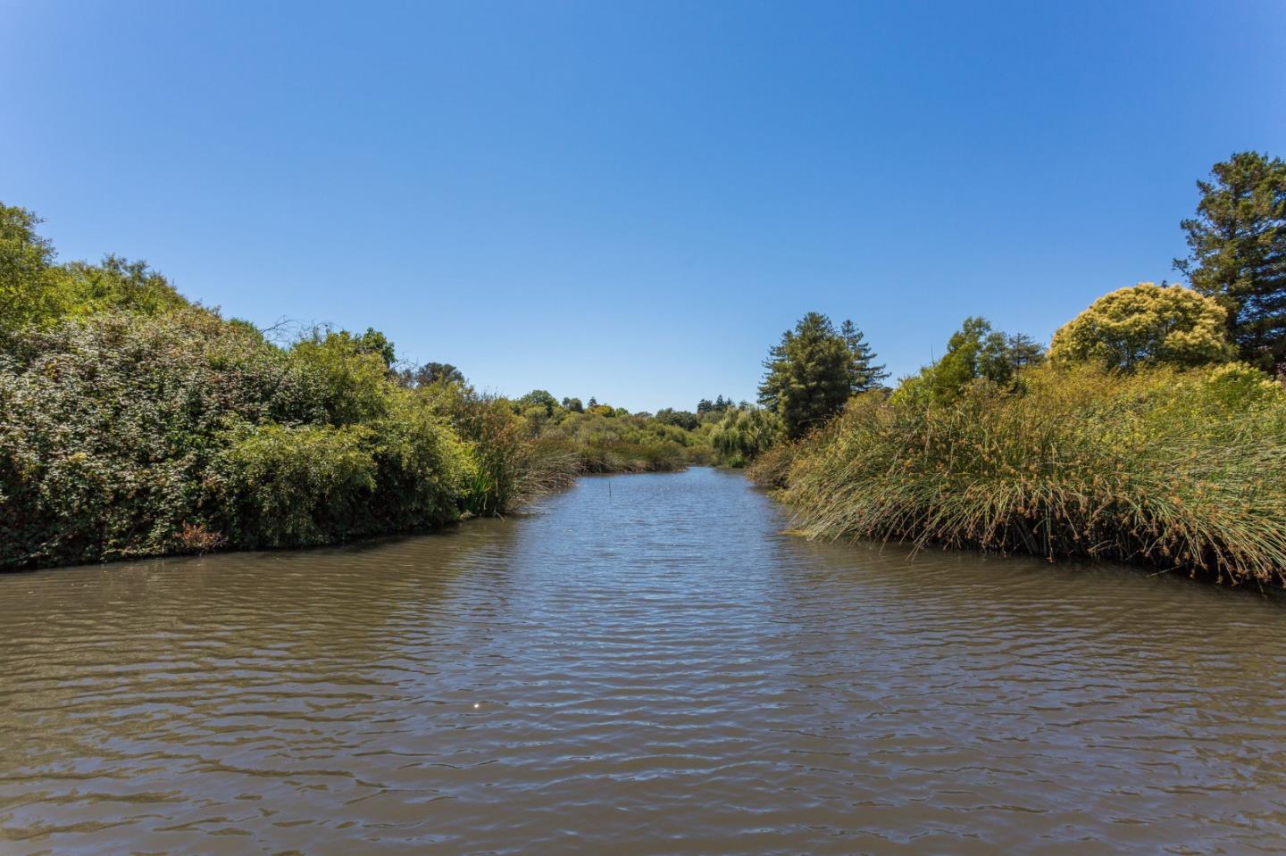 Detail Gallery Image 50 of 51 For 102 Tree Frog Ln, Santa Cruz,  CA 95060 - 2 Beds | 2 Baths