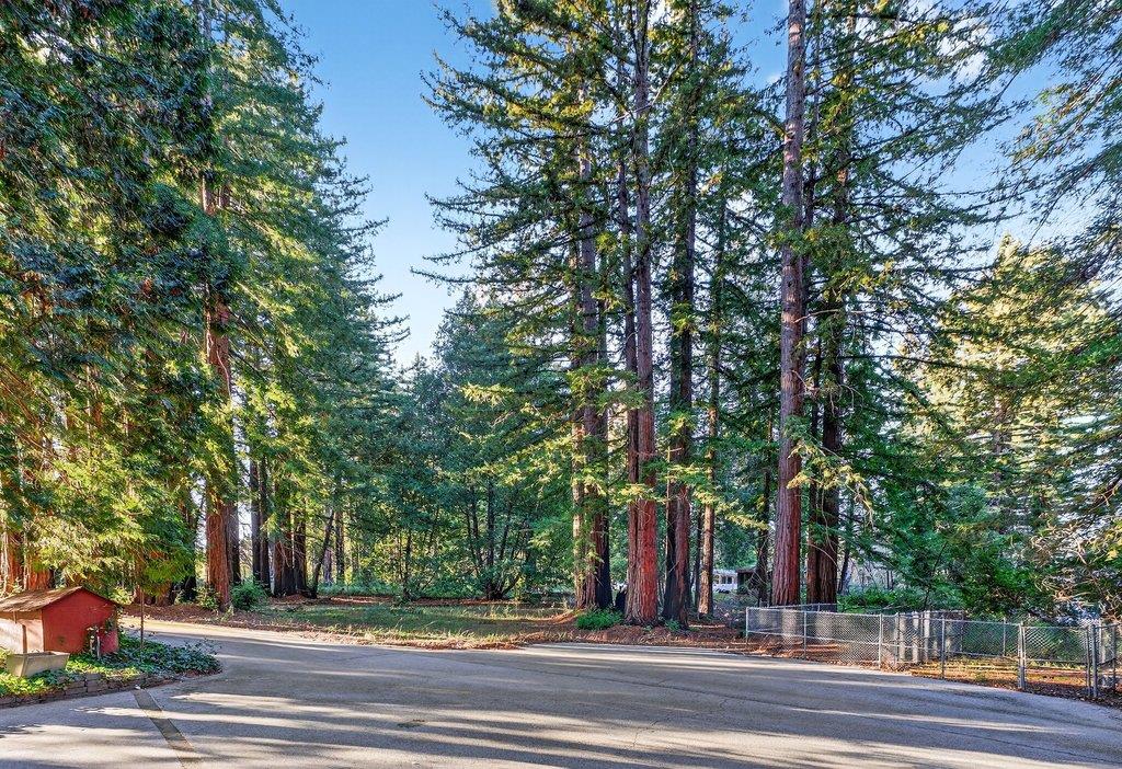 Detail Gallery Image 30 of 55 For 8472 Empire Grade, Santa Cruz,  CA 95060 - 2 Beds | 1 Baths