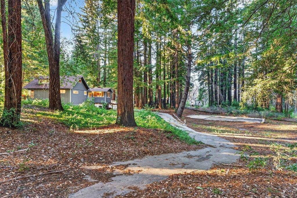 Detail Gallery Image 32 of 55 For 8472 Empire Grade, Santa Cruz,  CA 95060 - 2 Beds | 1 Baths