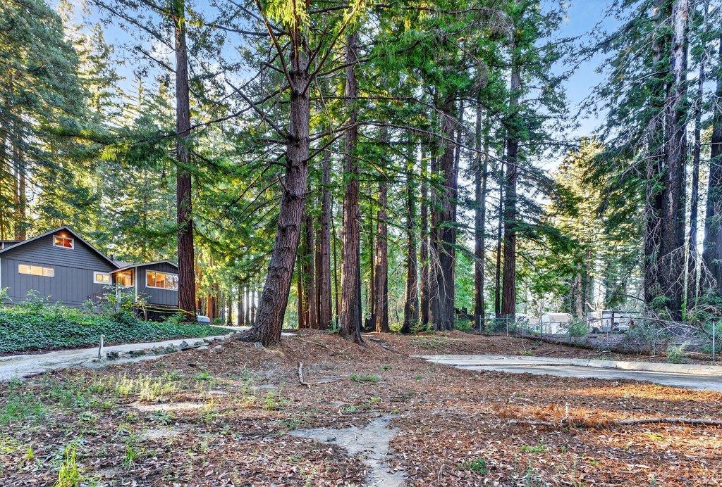 Detail Gallery Image 33 of 55 For 8472 Empire Grade, Santa Cruz,  CA 95060 - 2 Beds | 1 Baths