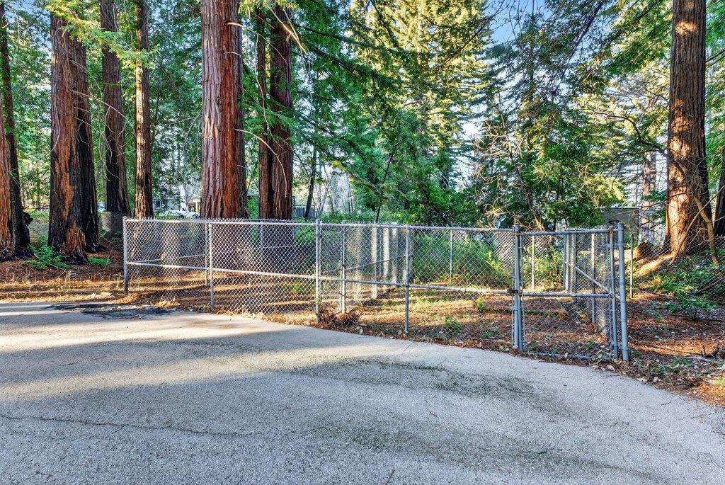 Detail Gallery Image 34 of 55 For 8472 Empire Grade, Santa Cruz,  CA 95060 - 2 Beds | 1 Baths