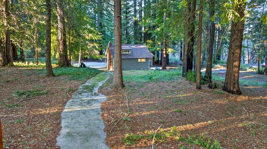 Detail Gallery Image 37 of 55 For 8472 Empire Grade, Santa Cruz,  CA 95060 - 2 Beds | 1 Baths