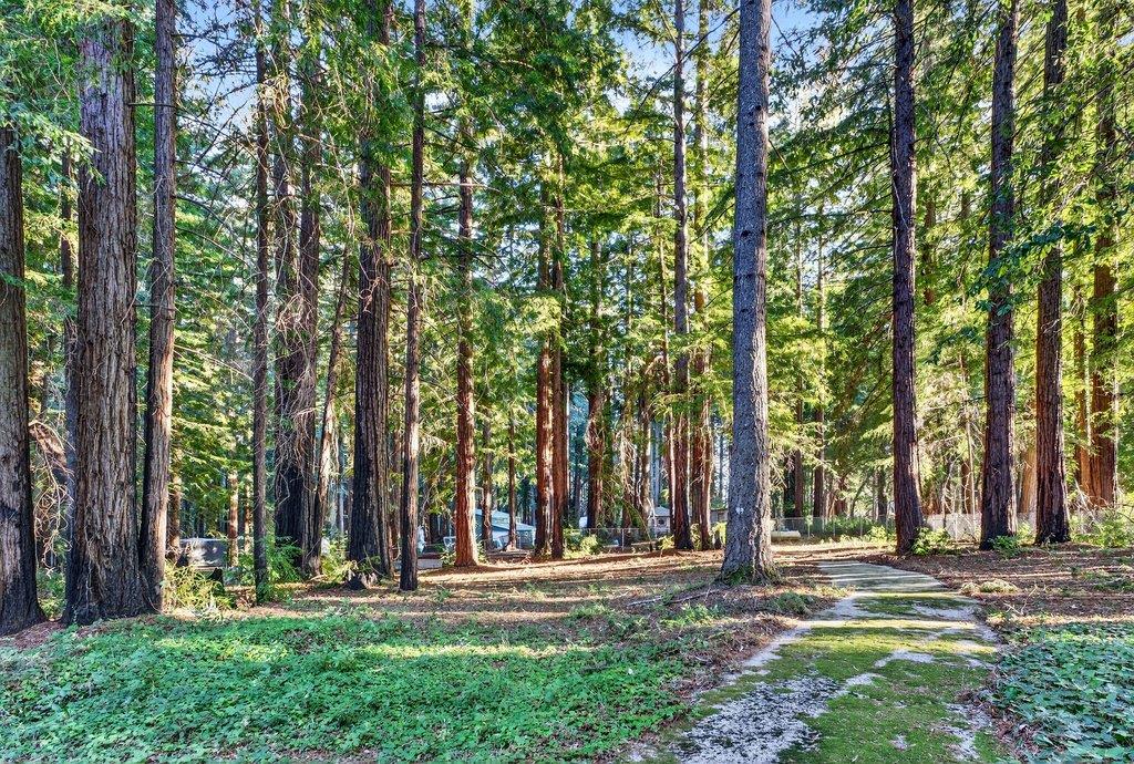 Detail Gallery Image 38 of 55 For 8472 Empire Grade, Santa Cruz,  CA 95060 - 2 Beds | 1 Baths