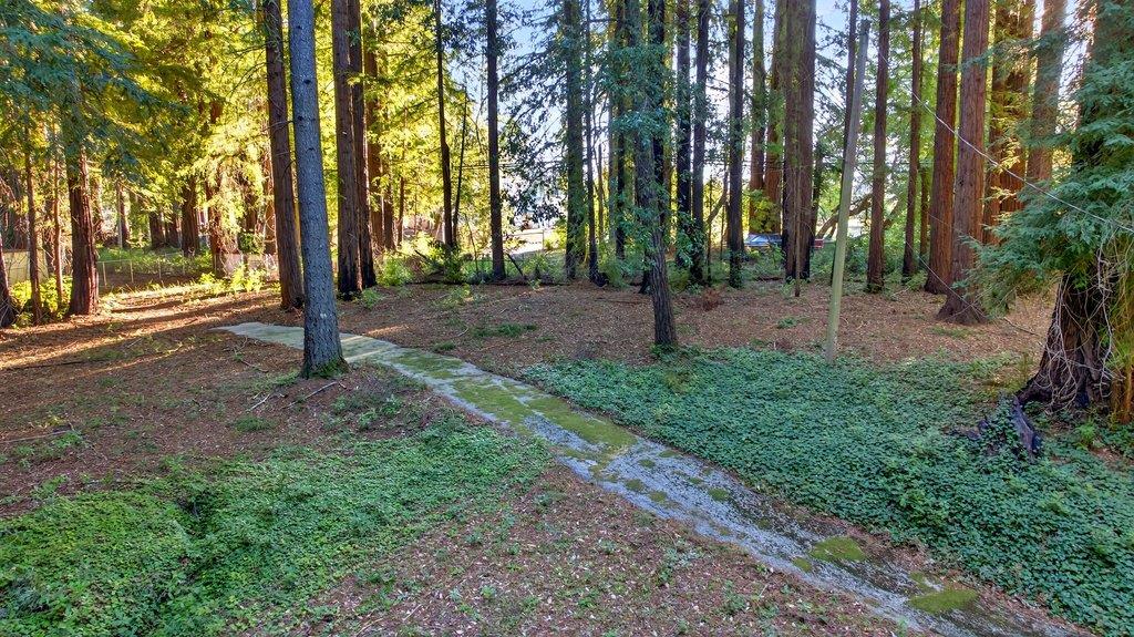 Detail Gallery Image 39 of 55 For 8472 Empire Grade, Santa Cruz,  CA 95060 - 2 Beds | 1 Baths