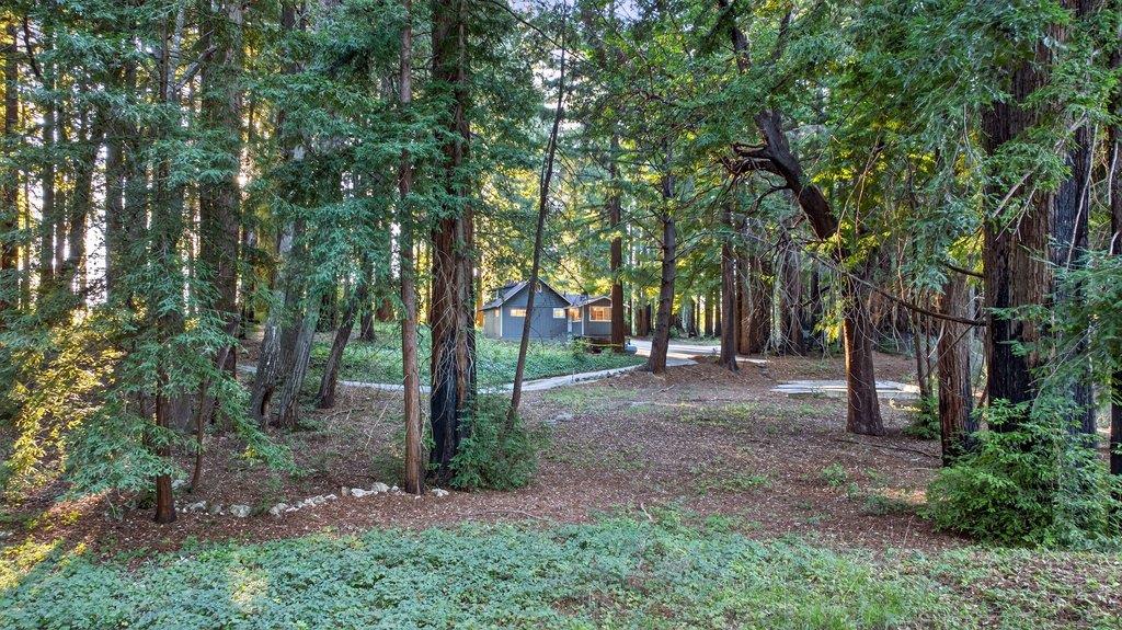 Detail Gallery Image 43 of 55 For 8472 Empire Grade, Santa Cruz,  CA 95060 - 2 Beds | 1 Baths