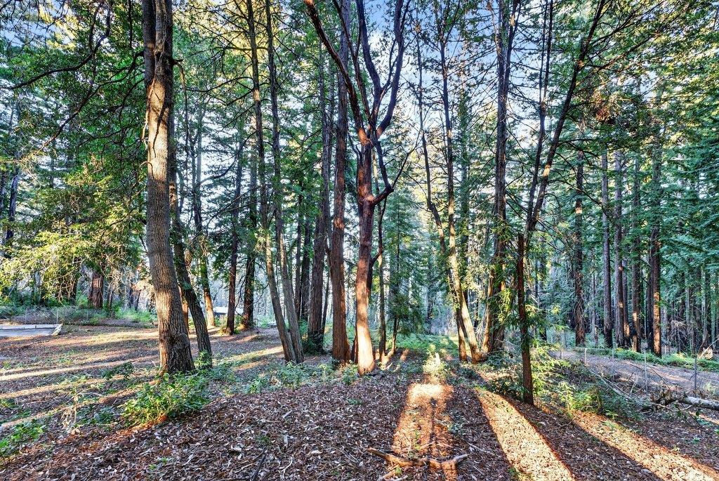 Detail Gallery Image 45 of 55 For 8472 Empire Grade, Santa Cruz,  CA 95060 - 2 Beds | 1 Baths