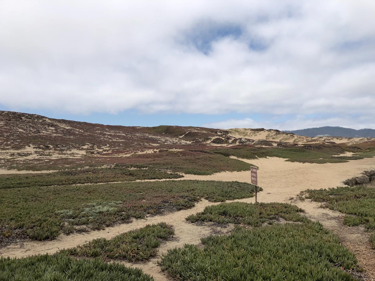 Detail Gallery Image 12 of 17 For 0 Tioga Ave, Sand City,  CA 93955 - – Beds | – Baths