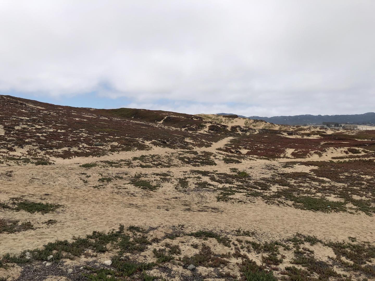 Detail Gallery Image 3 of 17 For 0 Tioga Ave, Sand City,  CA 93955 - – Beds | – Baths