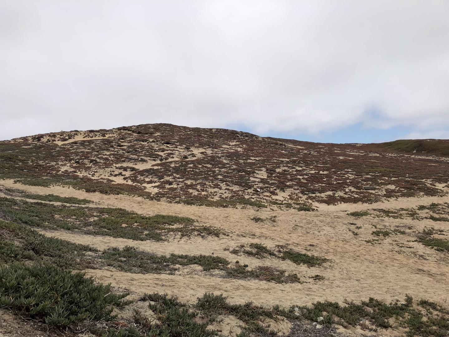 Detail Gallery Image 4 of 17 For 0 Tioga Ave, Sand City,  CA 93955 - – Beds | – Baths