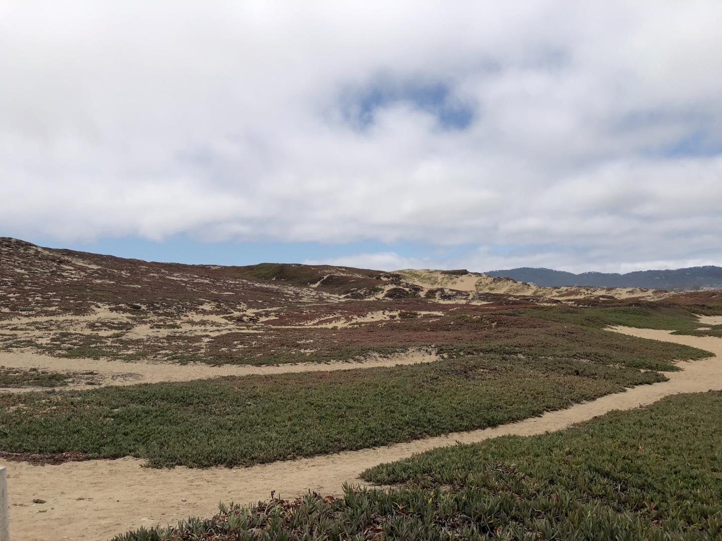 Detail Gallery Image 8 of 17 For 0 Tioga Ave, Sand City,  CA 93955 - – Beds | – Baths