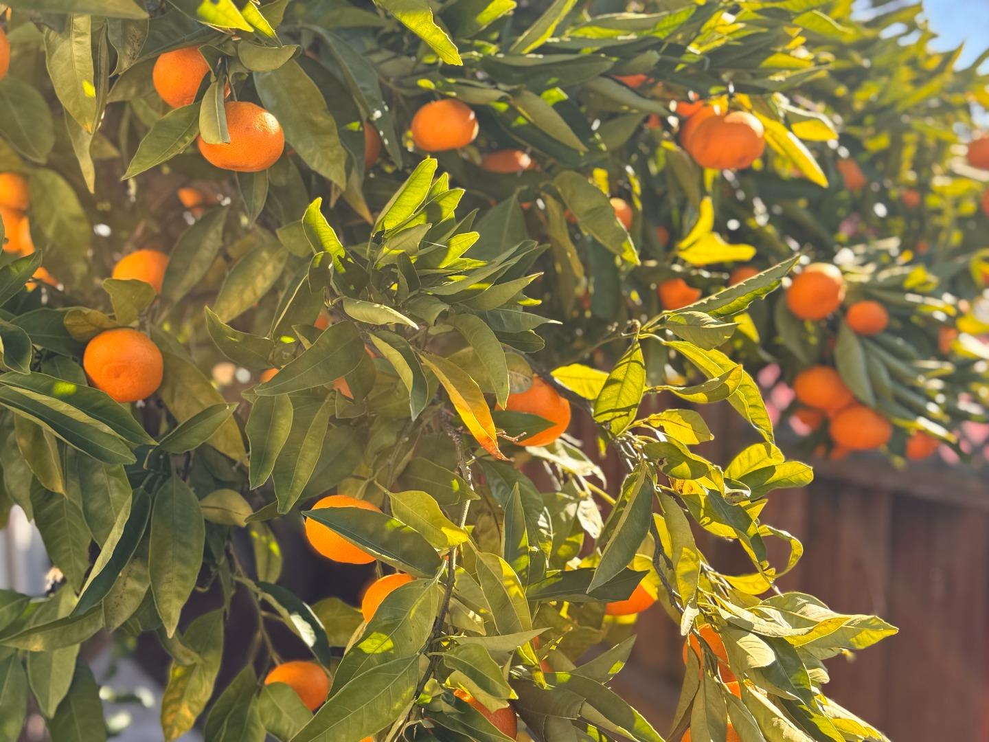 Detail Gallery Image 21 of 22 For 24927 2nd St, Hayward,  CA 94541 - 4 Beds | 3 Baths