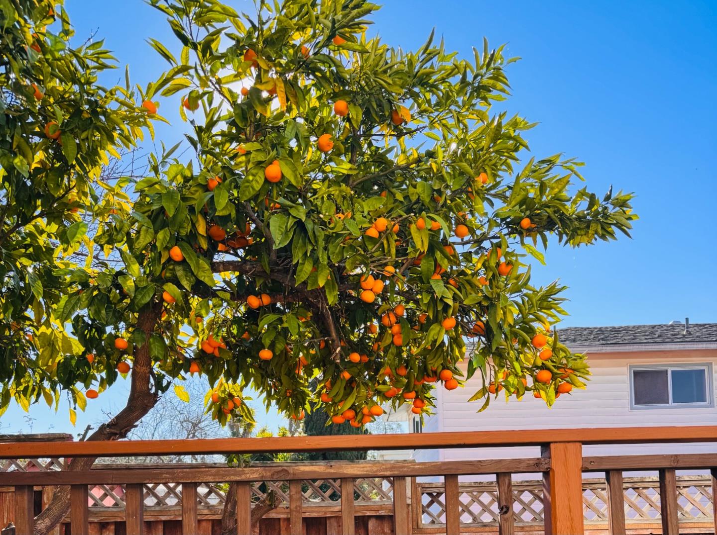 Detail Gallery Image 22 of 22 For 24927 2nd St, Hayward,  CA 94541 - 4 Beds | 3 Baths