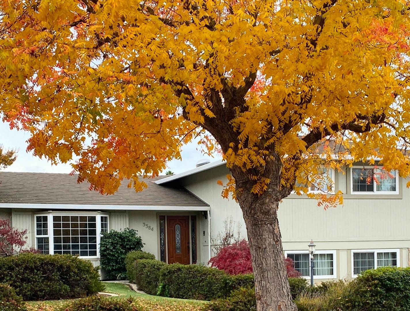 Front Image Thumbnail for ML82030237