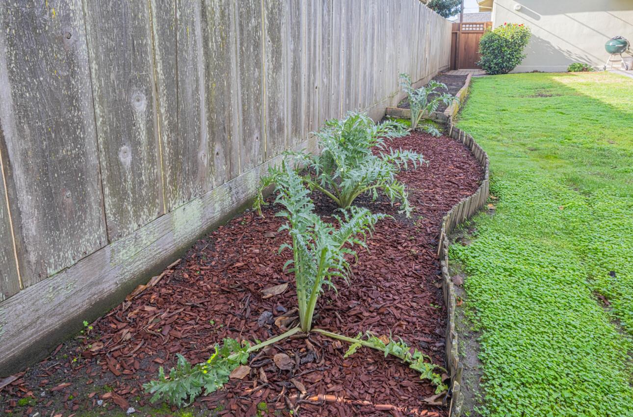 Detail Gallery Image 38 of 39 For 1231 Padre Dr, Salinas,  CA 93901 - 3 Beds | 2 Baths