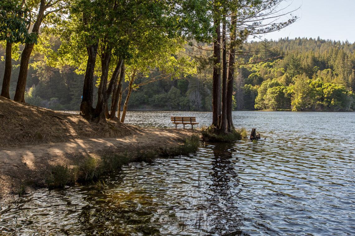 Detail Gallery Image 39 of 44 For 11207 Lake Blvd, Felton,  CA 95018 - 2 Beds | 2 Baths