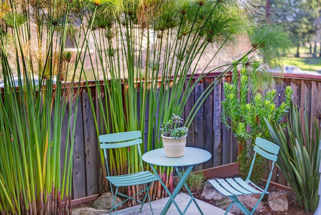 Detail Gallery Image 17 of 52 For 1055 Nobel Dr, Santa Cruz,  CA 95060 - 2 Beds | 2/1 Baths