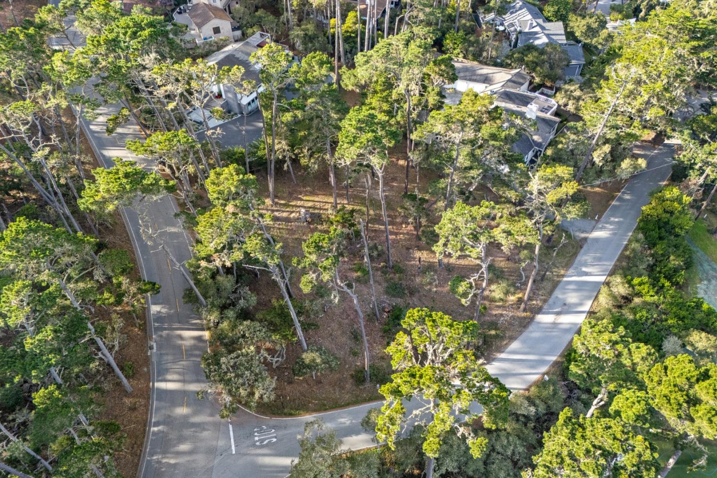 Detail Gallery Image 9 of 13 For 2901 Bird Rock Rd, Pebble Beach,  CA 93953 - – Beds | – Baths