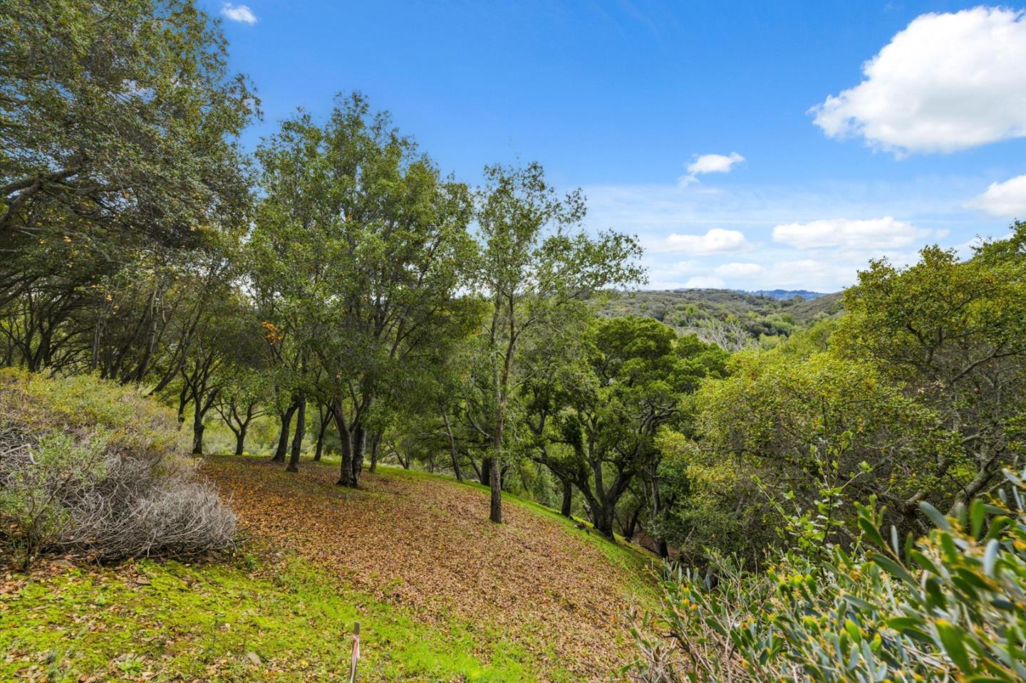 Detail Gallery Image 31 of 38 For 3387 Brittan Ave #2,  San Carlos,  CA 94070 - 2 Beds | 2 Baths