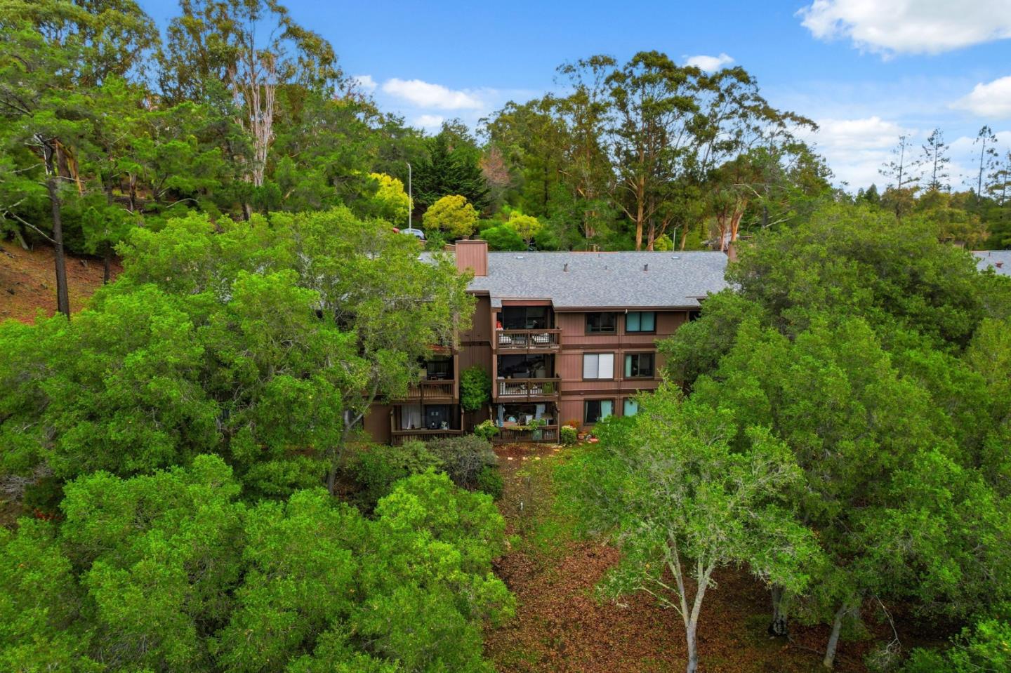 Detail Gallery Image 37 of 38 For 3387 Brittan Ave #2,  San Carlos,  CA 94070 - 2 Beds | 2 Baths