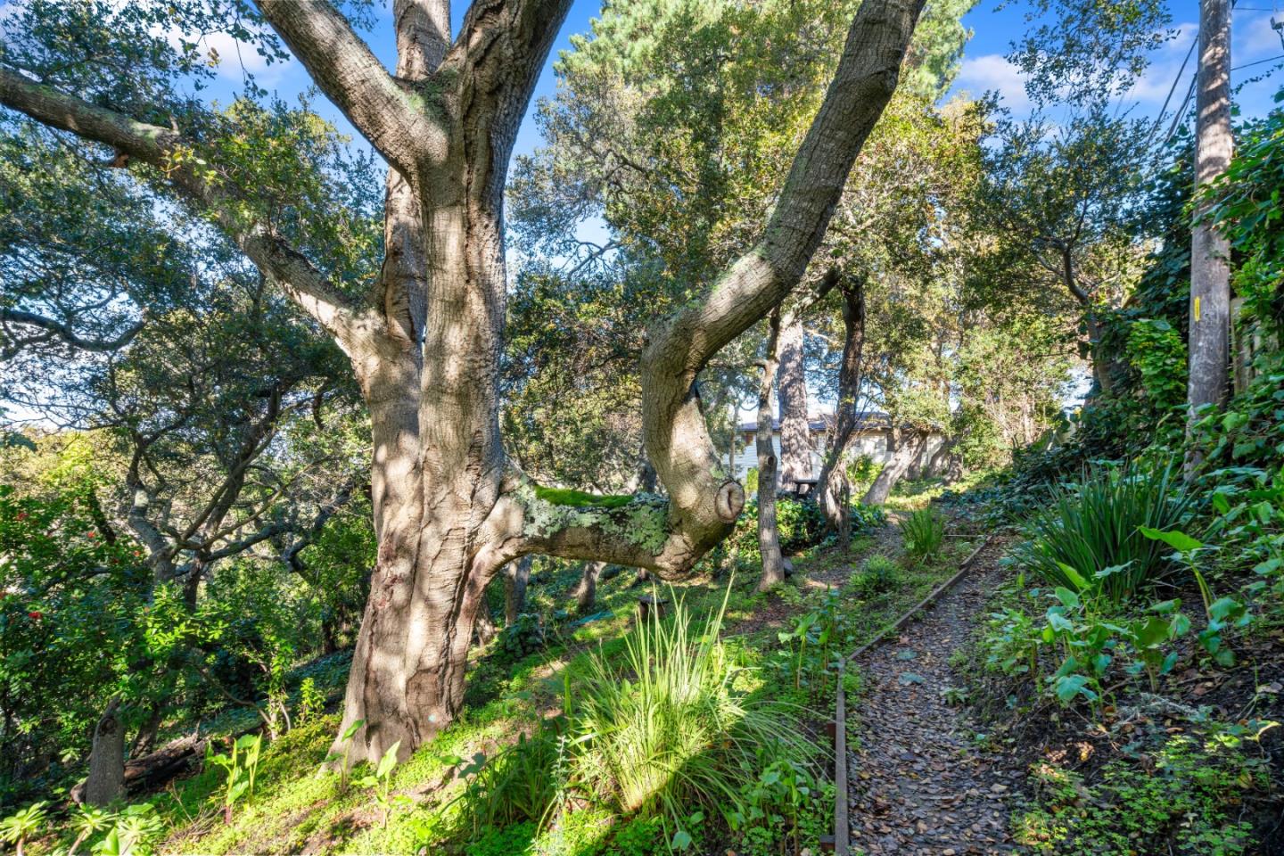 Detail Gallery Image 47 of 49 For 21 Colorados Dr, Millbrae,  CA 94030 - 3 Beds | 3 Baths
