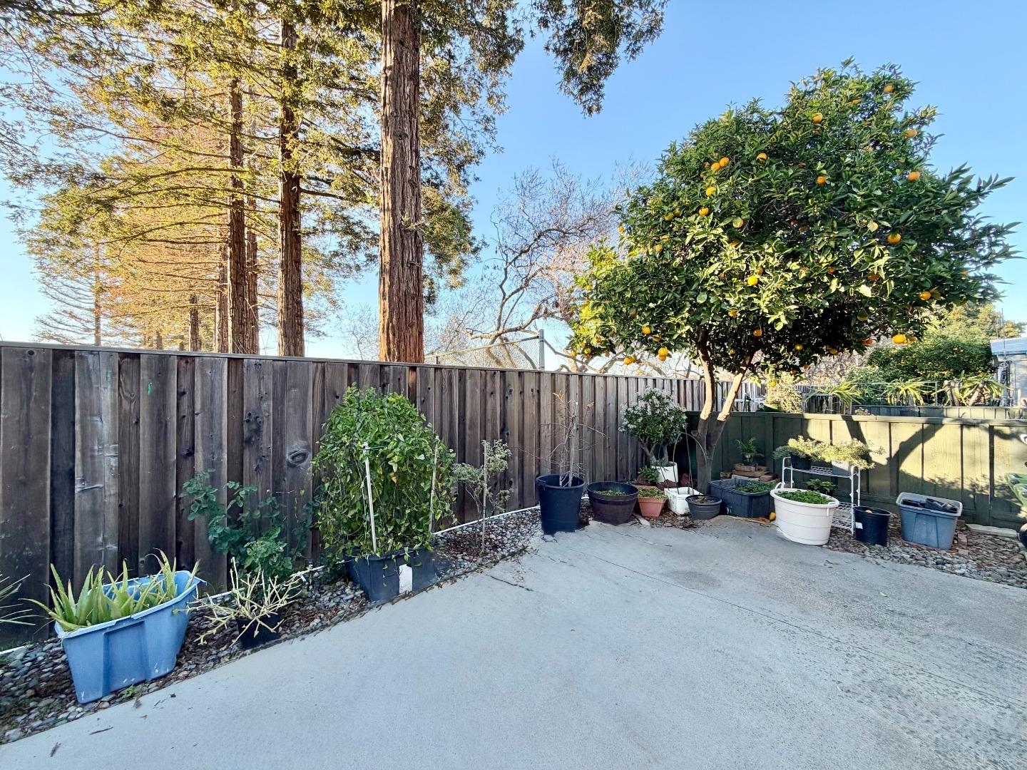 Detail Gallery Image 20 of 20 For 2888 Moss Hollow Dr #2888,  San Jose,  CA 95121 - 2 Beds | 2 Baths