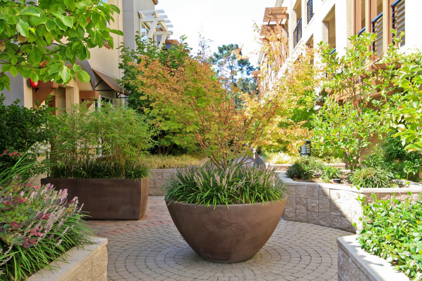 Detail Gallery Image 22 of 30 For 4388 El Camino Real #130,  Los Altos,  CA 94022 - 2 Beds | 2 Baths