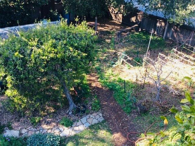 Detail Gallery Image 10 of 12 For 1280 Grant Rd, Los Altos,  CA 94024 - 5 Beds | 2/1 Baths