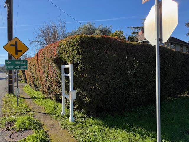 Detail Gallery Image 11 of 12 For 1280 Grant Rd, Los Altos,  CA 94024 - 5 Beds | 2/1 Baths